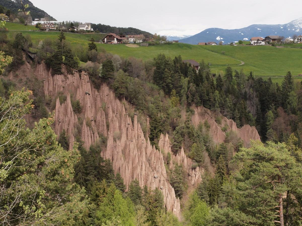 P4295345.JPG